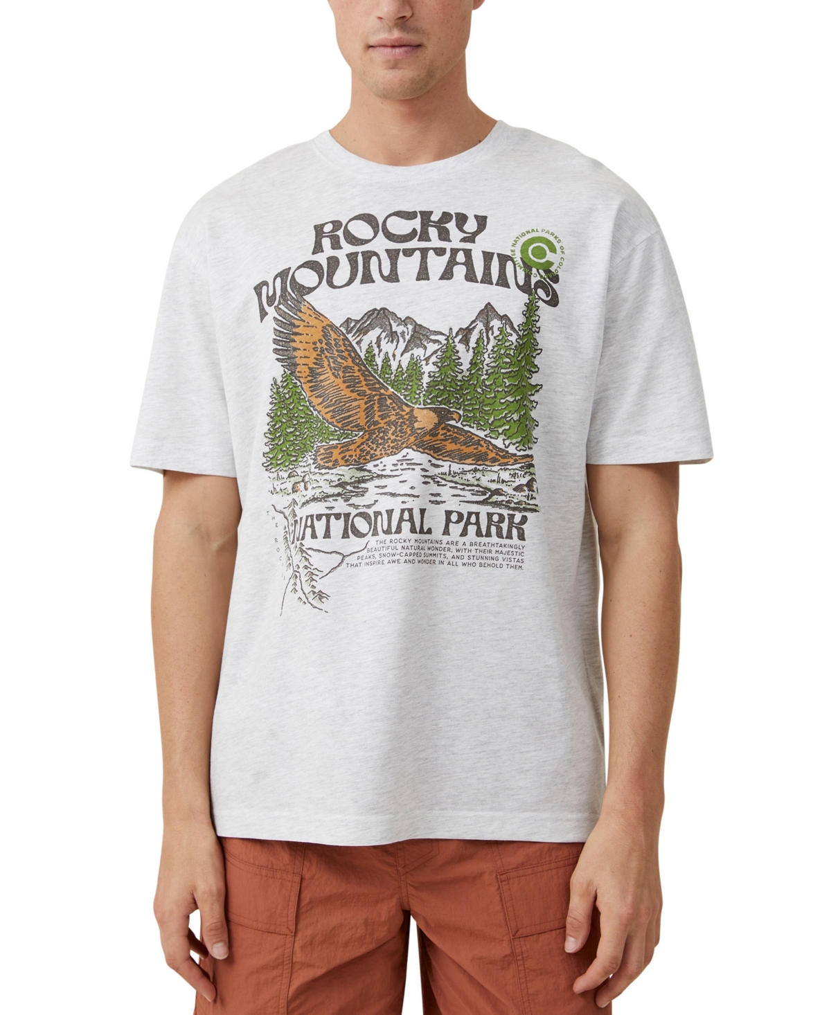 Cotton On Men's Loose Fit Art T-shirt In White Marle,rocky Mountains
