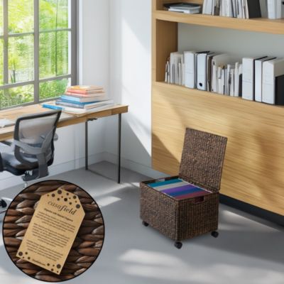 Rolling Filing Cabinet, Water Hyacinth Hanging File Folder Organizer, Home Office Storage