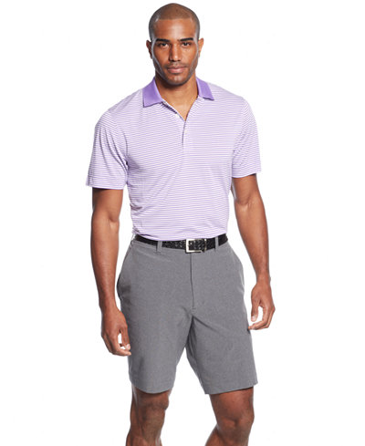 Cutter & Buck Big and Tall Men's Drytec Striped Polo & Solid Shorts