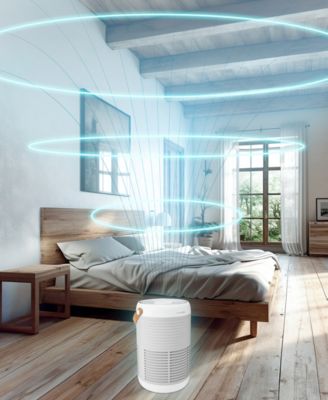 Smart Air Purifier T100