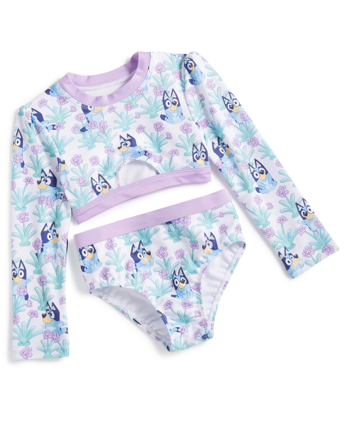 Shop Bluey Toddler Girls Printed Long-sleeve Rashguard Swimsuit, 2 Piece Set In Multi