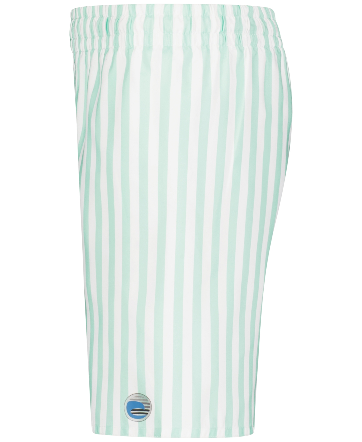 Laguna Big Boys Cabana Stripe Volley Swim Shorts