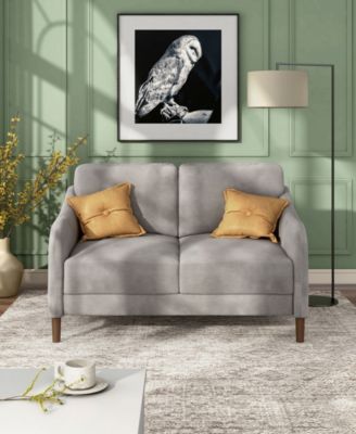 Peter 51.5" Velvet Loveseat