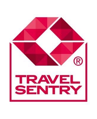 Regent Extra Large Check-in Expandable Spinner