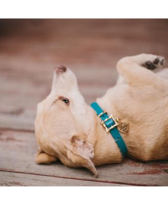 Disney Pet Collar, Faux Leather Dog Collar, Lady and the Tramp