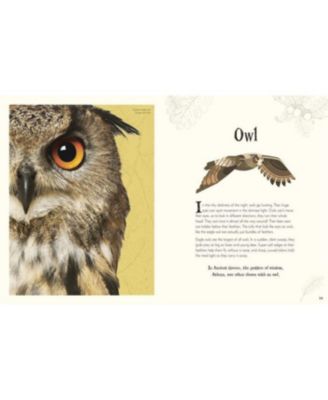 An Anthology of Intriguing Animals by DK