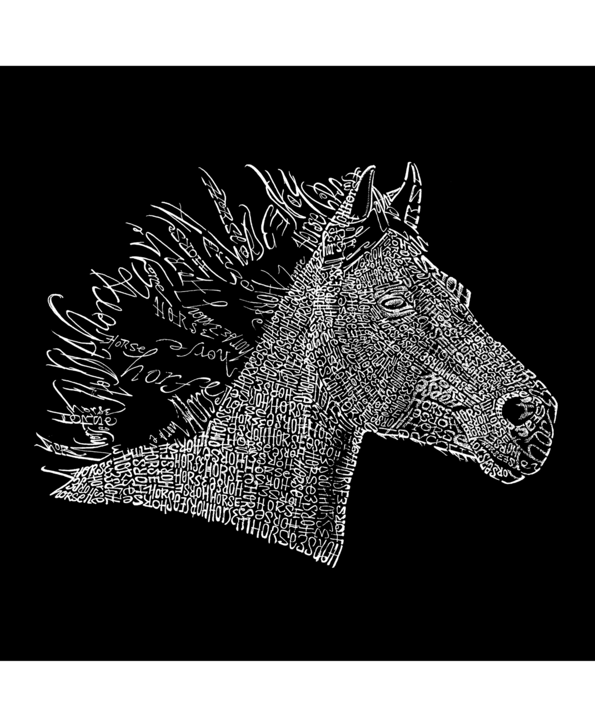 Horse Mane - Big Boy's Word Art Crewneck Sweatshirt