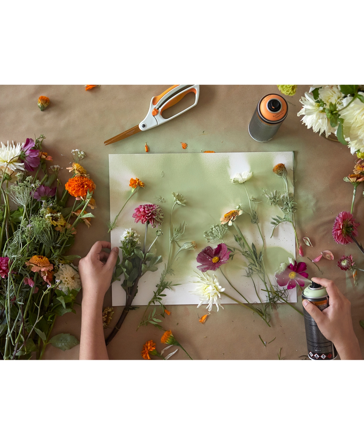 Chilewich Botanic Rectangular Placemat, 14" X 19" In Sesame