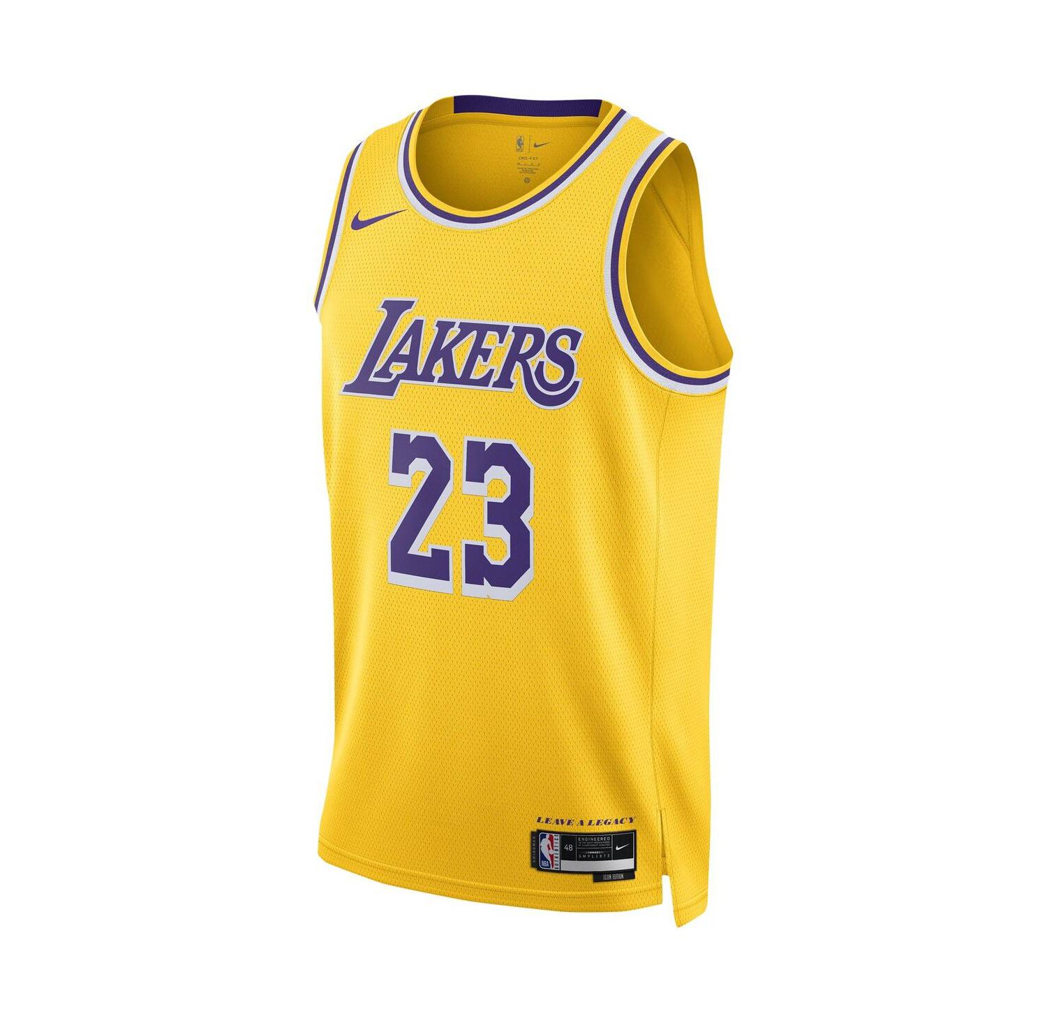 Men's and Women's LeBron James Los Angeles Lakers Swingman Jersey