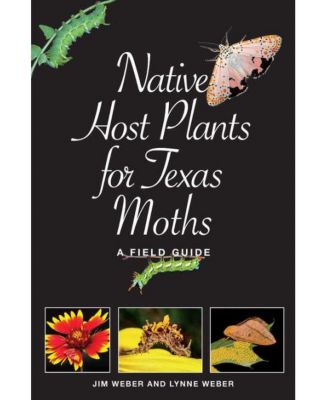 Barnes & Noble