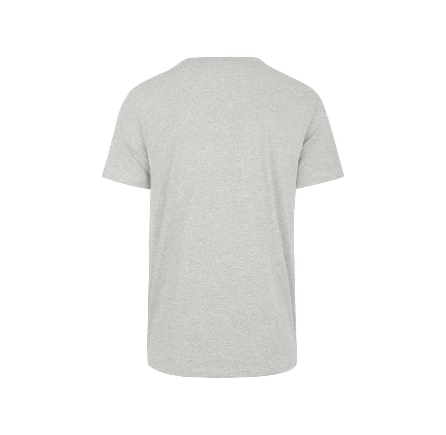 Men's Gray Distressed Miami Dolphins Downburst Franklin T-shirt