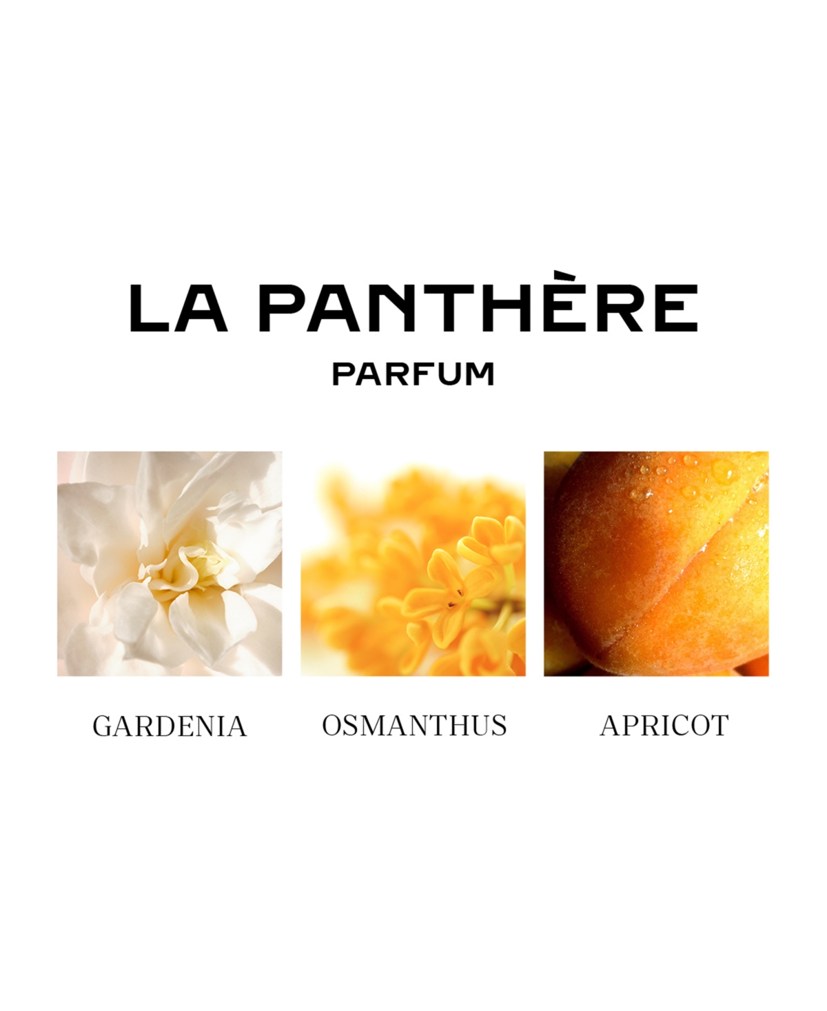Shop Cartier La Panthere Parfum, 3.3 Oz. In No Color
