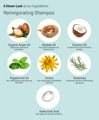 3-Pc. Roots Of Health Hair + Scalp Care Set