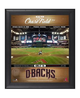 Arizona Diamondbacks Framed 15