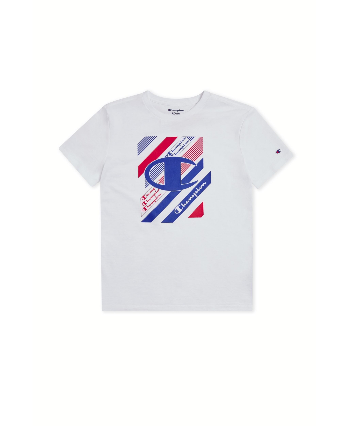 Shop Champion Big Boys Short Sleeves Graphic T-shirt In White