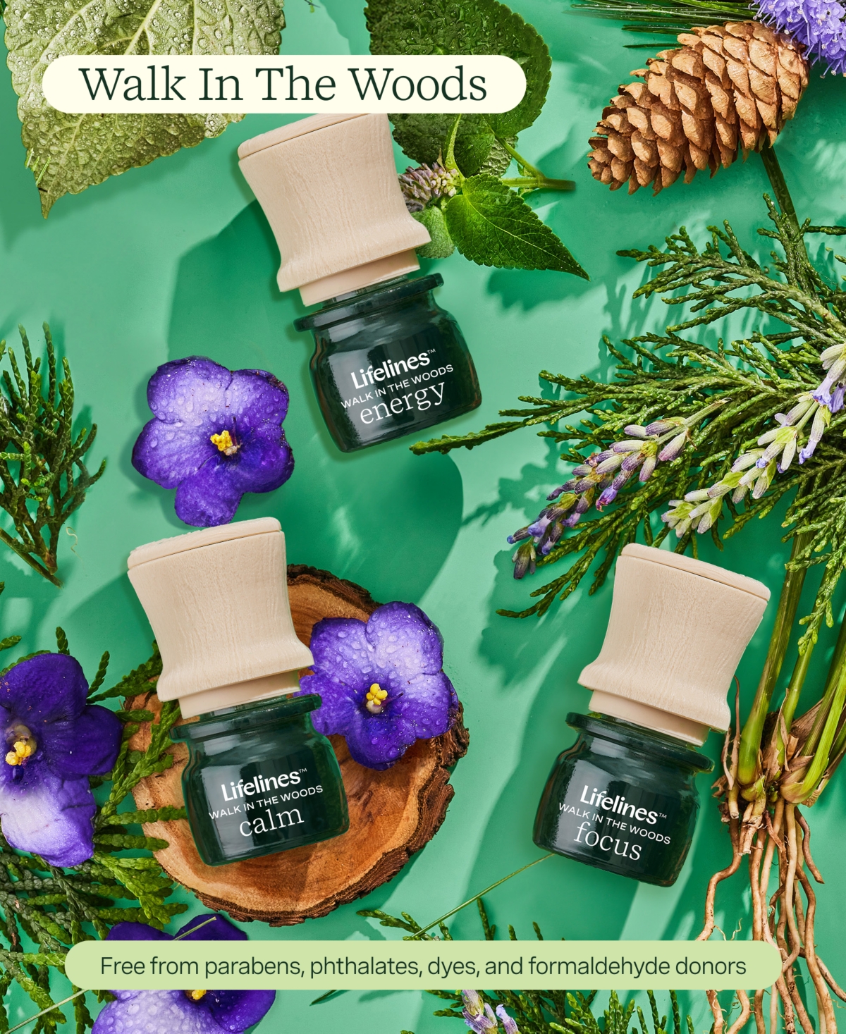 Lifelines Everyday Diffuser And Full Essential Oil Blends Collection In Multi Colored