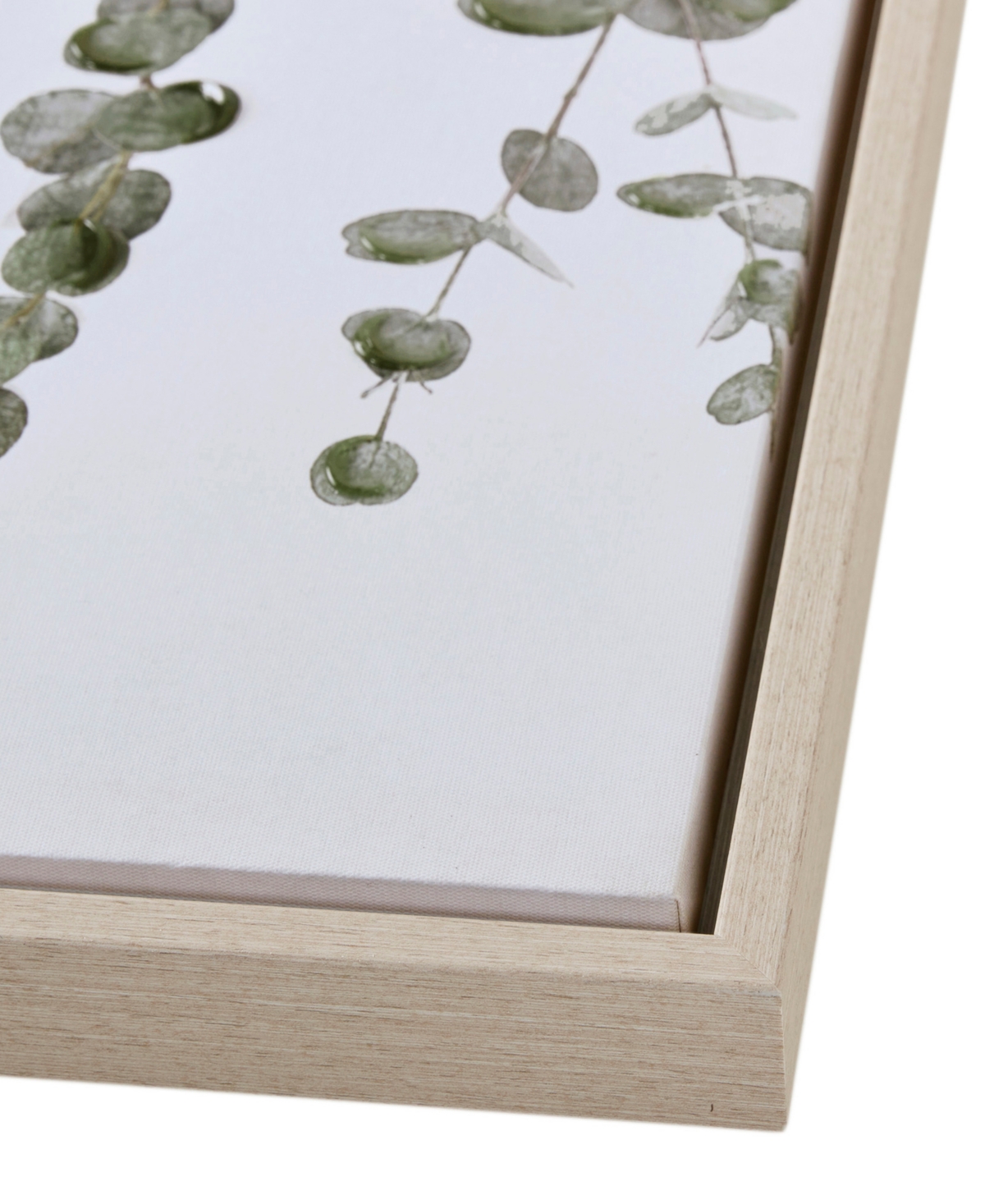 Ink+ivy Botanical Waterfall Eucalyptus 2-pc. Framed Canvas Wall Decor Set In Green