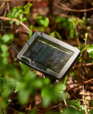 38.5' Set of 2 Solar String Light with 100 Lights