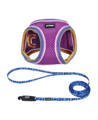 Li'l Pals by Dog Walking Bundle - Patterned Dog Leash with E-Z Snap (Light Blue Paw, 3/8" x 6') & Comfort Mesh Dog Harness (Orchid, 3/8" x 8"–10")