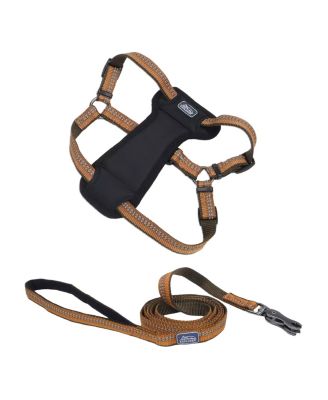 K9 Explorer by Dog Leash Set - Reflective Adjustable Dog Harness (1" x 26"–38") & Reflective Dog Leash with Scissor Snap 1" x 6') - Campfire Orange