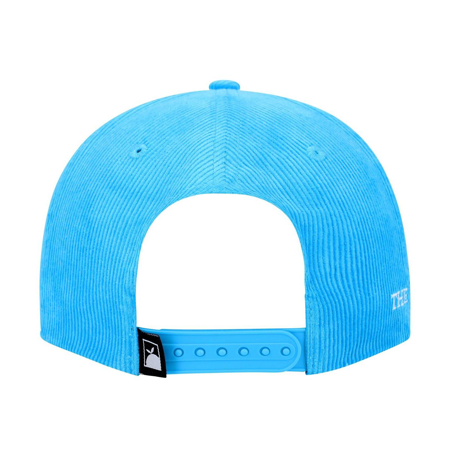 Мужская кепка Flomotion Blue the Players Dftl Rope Adjustable Hat — фото 4