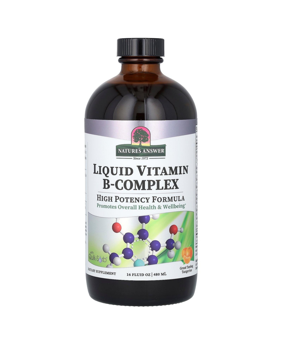 Liquid Vitamin B-Complex Great Tasting Tangerine - 16 fl oz (480 ml) - Assorted Pre-Pack