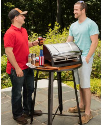Grillster Portable Gas Grill CGG-059