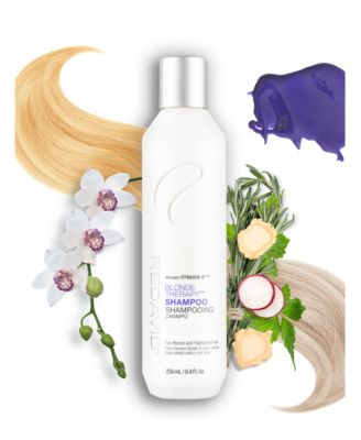 Salon Products Blonde Therapy Shampoo for Blonde and Highlighted Hair, 250 ml