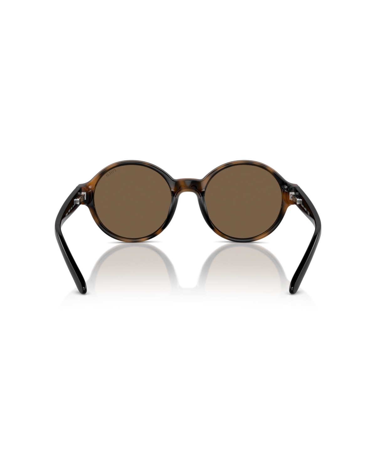 Polo Ralph Lauren Sunglasses, Pp9508u In Shiny Dark Havana