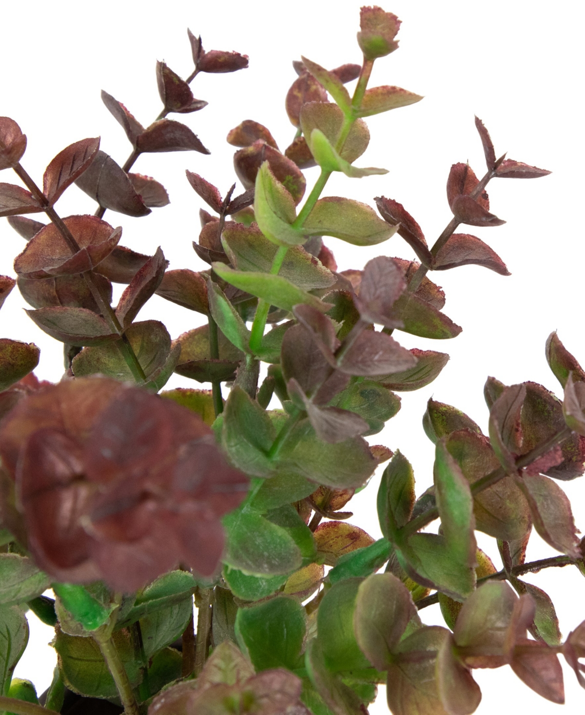 Northlight 10" Two-toned Spring Eucalyptus Leaves Artificial Plant In Ceramic Pot In Green
