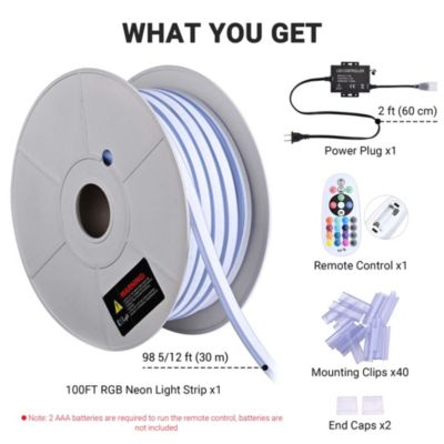 100FT/30m RGB LED Strip Neon Rope Lights with APP & Remote Control, IP65 AC 110V Waterproof Music Sync Flexible Dimmable Cuttable SMD3535 LED Light DIY for Bar Commercial Decoration DEL-D100R