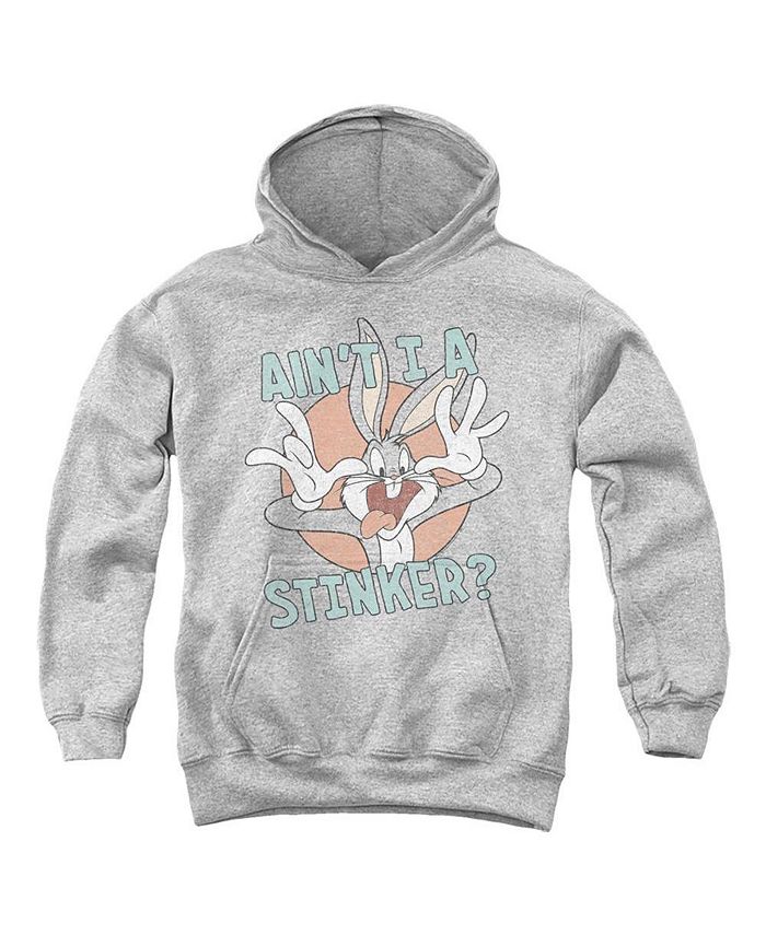 Looney Tunes Boys Youth Aint I A Stinker Pull Over Hoodie / Hooded