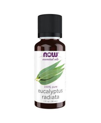 Eucalyptus Radiata, 1 Oz