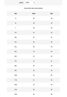 Plus Size Brief 2-Pack Power Mesh Tummy Control