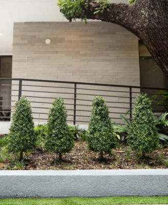 3ft. UV Resistant Artificial Boxwood Plant with Integrated Ground Stake Indoor/Outdoor - Set of 2