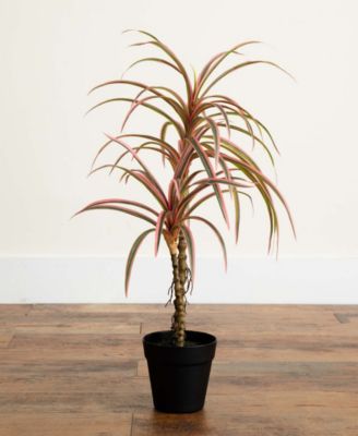 2ft. Artificial Dracaena Marginata Plant