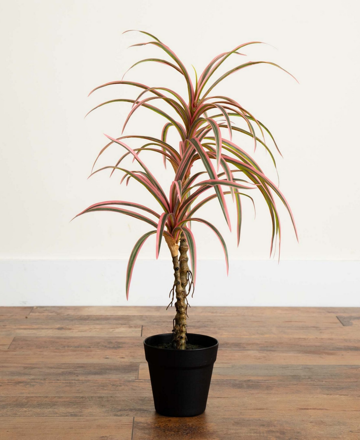 Nearly Natural 2ft. Artificial Dracaena Marginata Plant In Green