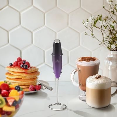 Handheld Milk Frother Stainless Steel Single Whisk with Stand