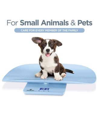 Digital Baby Scale - Multi-Function Infant Scale, Toddler Scale & Pet Scale with Collapsible Weighing Tray - Hold Function, 4 Weighing Modes, Backlit LCD Display, Auto-Off, 200 lbs Max