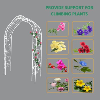 Customizable Metal Garden Arch for Weddings and Events