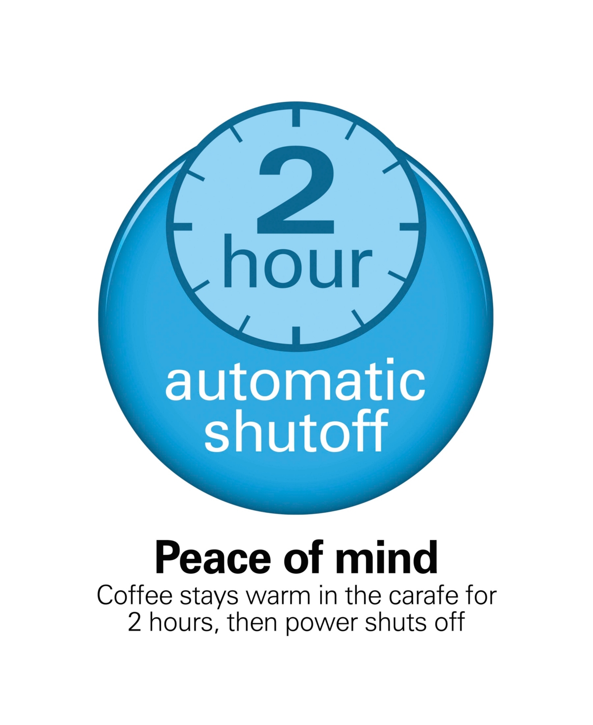 Hamilton Beach Programmable 12 Cup Coffee Maker In Black
