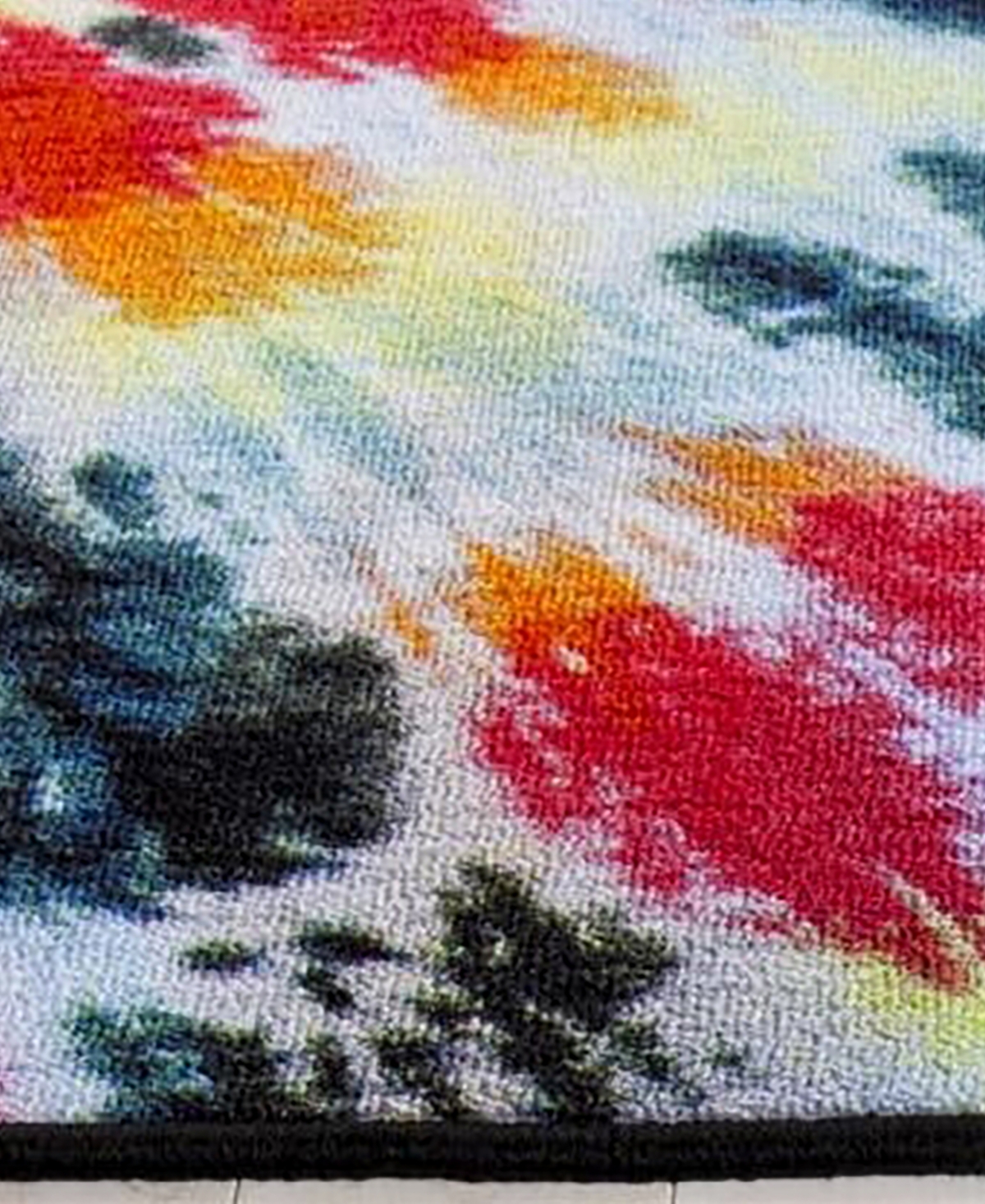 Safavieh Paint Brush PTB126and Coral Area Rug - Black