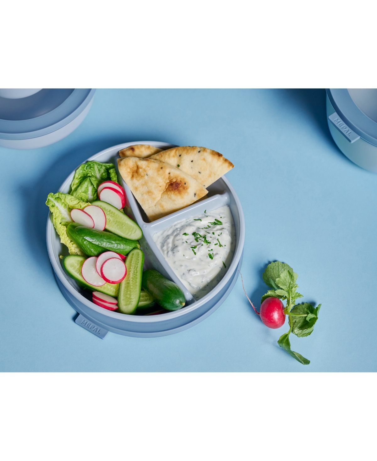 Mepal Cirqula 1pc. Bento Bowl In Blue