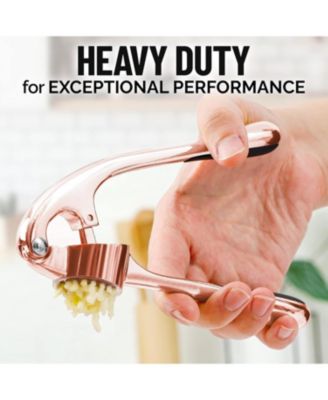 Premium Garlic Press Set - Rust Proof & Dishwasher Safe Professional Garlic Mincer Tool