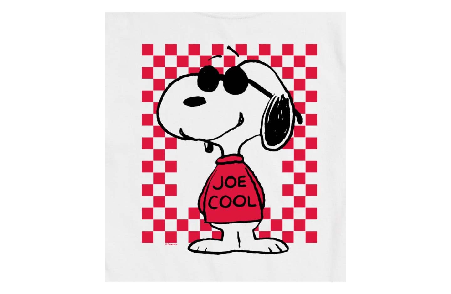 Мужская футболка AIRWAVES Hybrid Apparel Peanuts Joe Cool Short Sleeve, цвет: Белый — фото 3
