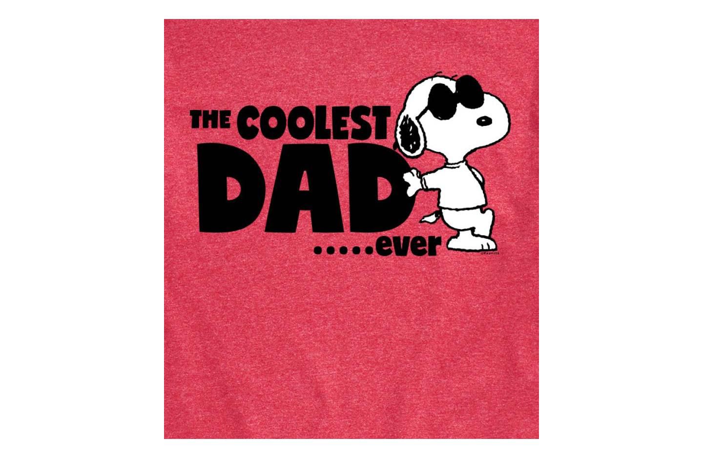 Мужская футболка AIRWAVES Hybrid Apparel Peanuts Dad Short Sleeve, цвет: Ath Hthr — фото 7