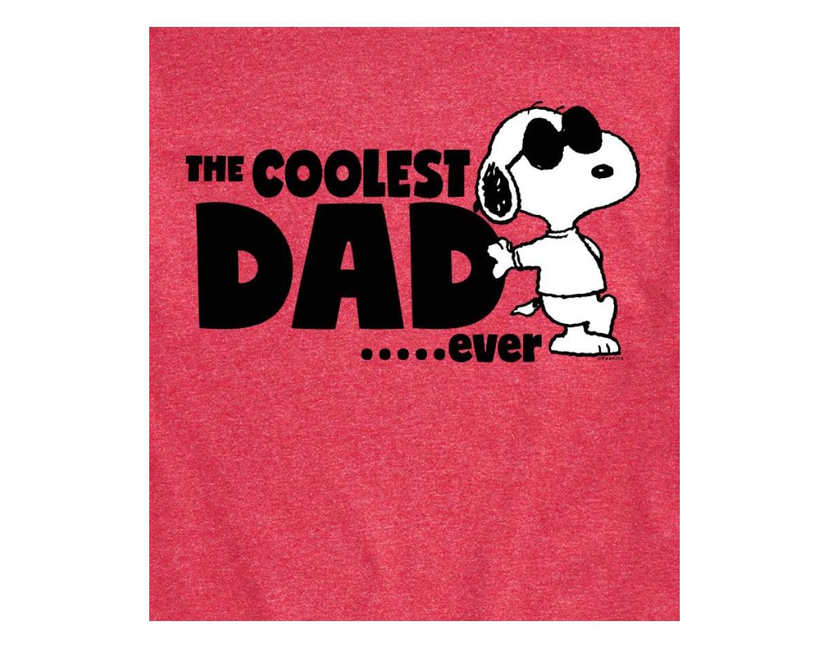 Airwaves Hybrid Apparel Peanuts Dad Mens Short Sleeve Tee In Hthr Red