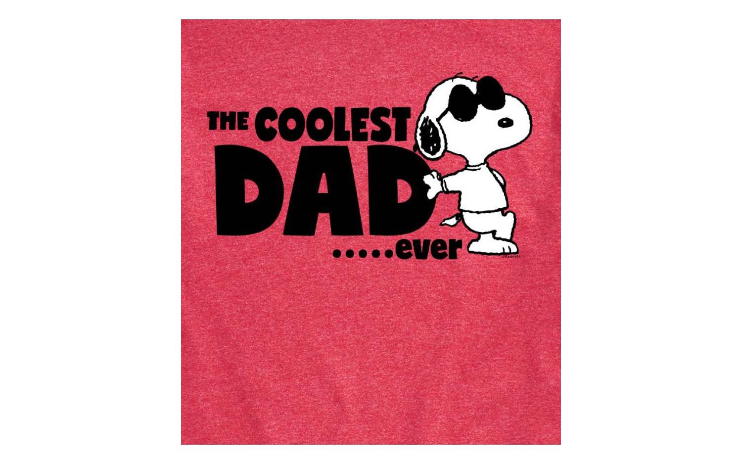 Hybrid Apparel Peanuts Dad Mens Short Sleeve Tee