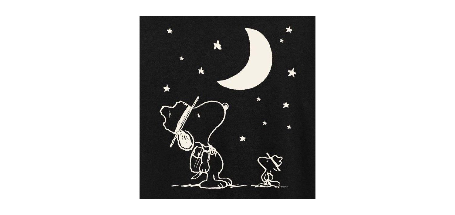 Trendy Plus Size Peanuts Snoopy & Woodstock Moon and Stars Graphic T-Shirt