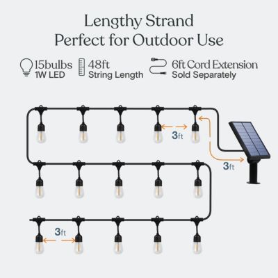 Ambience Pro 48-Ft Outdoor Solar LED String Lights with Warm White Hue
